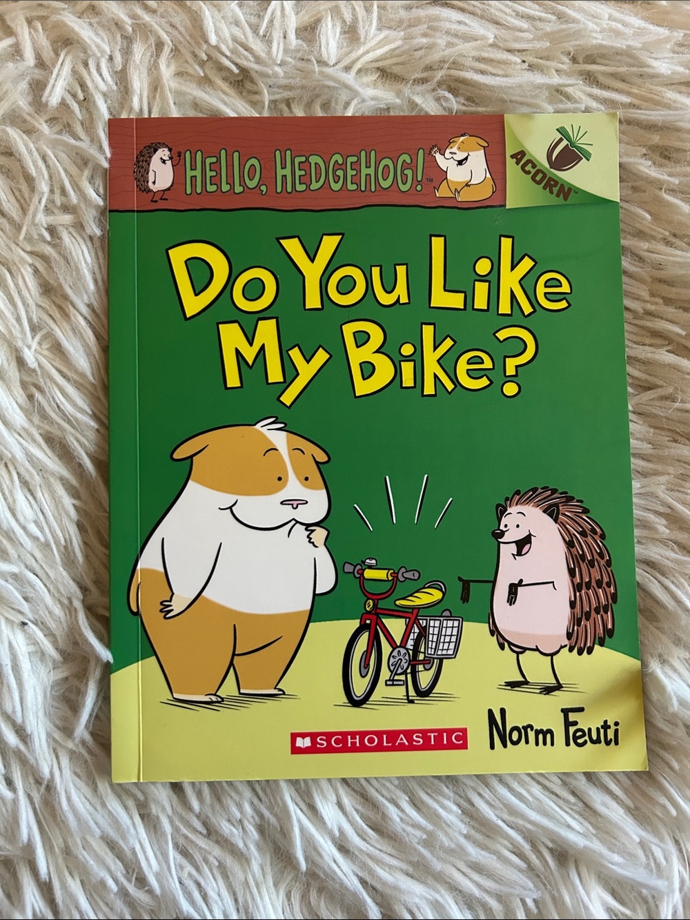 Do You Like My Bike? Learn to read, Hello Hedgehog acorn book by Norm Feuti